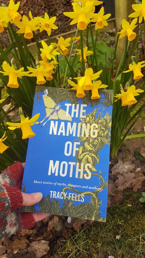 Blue Cover of the naming of moths by Tracy Fells against daffodils 