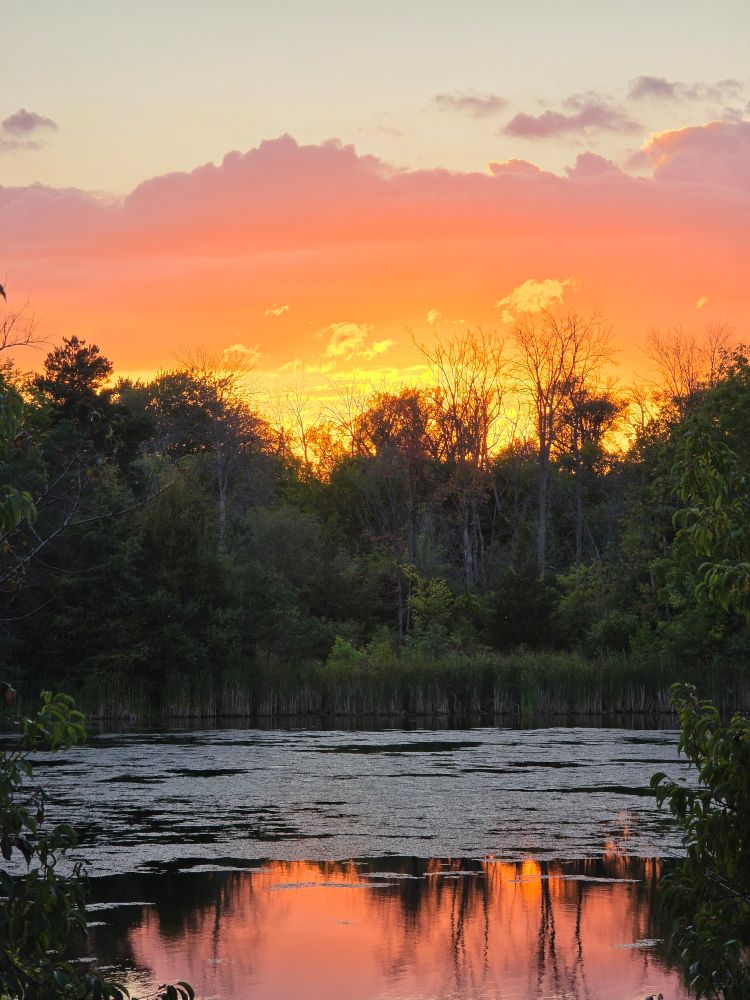 A glowing golden-orange sunset behind a tree line. The sunset is overlooking a pond