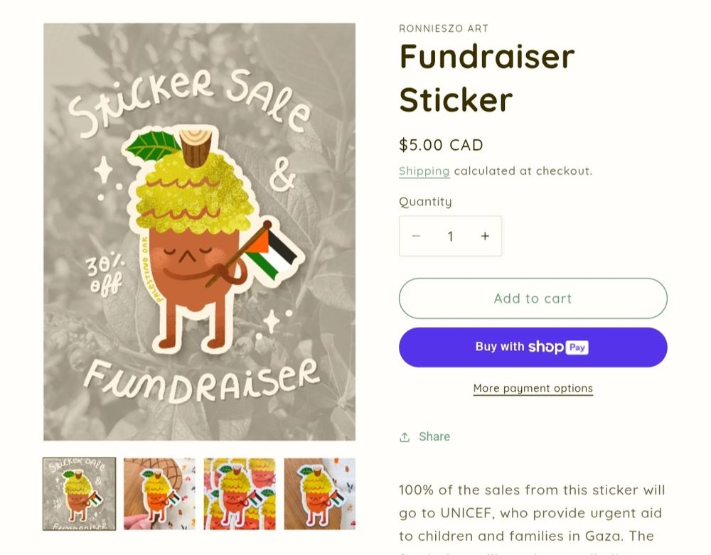 A screen shot of the Gaza fundraiser details on Ronnies website