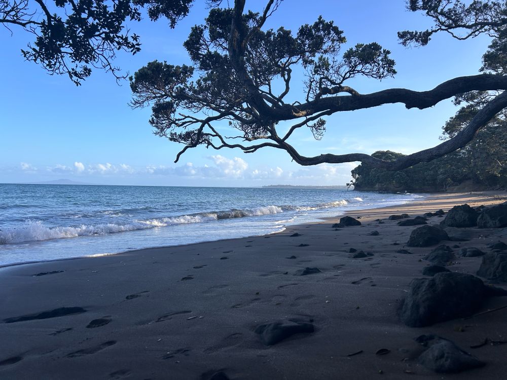 Little Manly beach, Whangaparaoa 