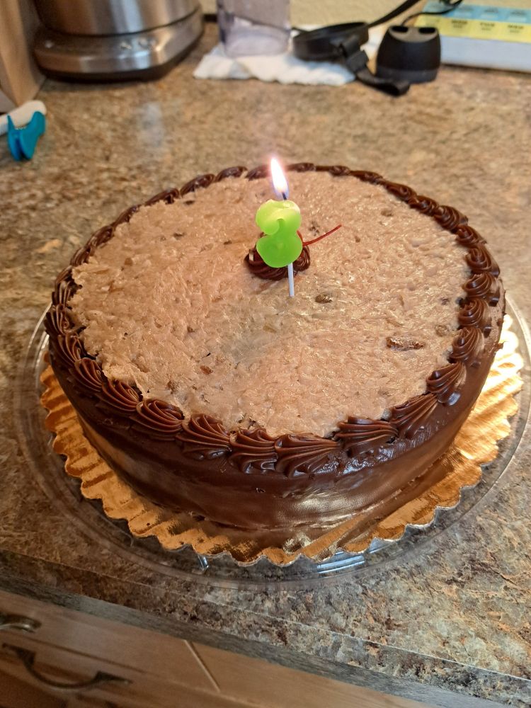A chocolate cake with a single candle in it shaped like the number 3