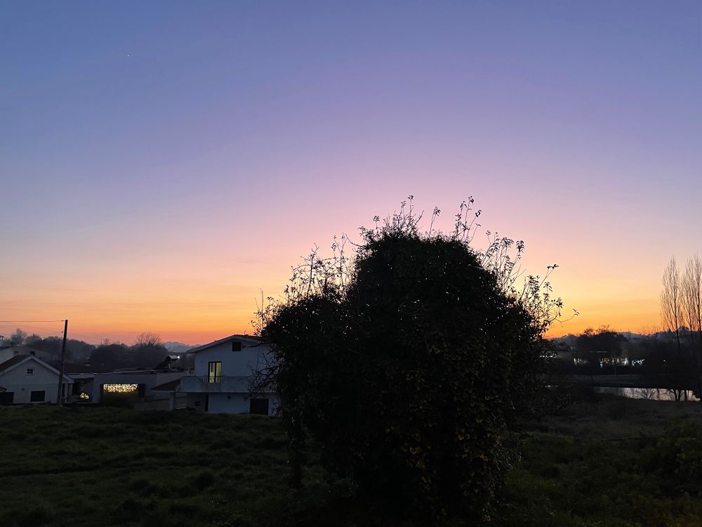 pinkish sky after sunset 