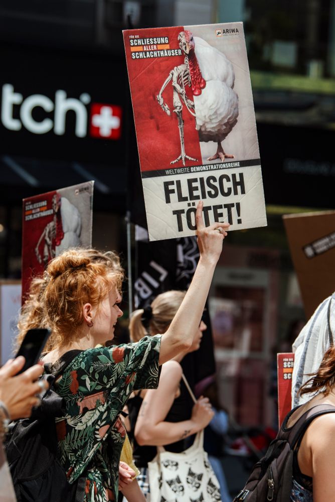 Foto von der Demonstration "Schlachthäuser schließen" in Hannover am vergangenen Samstag. Eine Demonstrantin hält ein Schild "Fleisch tötet!"