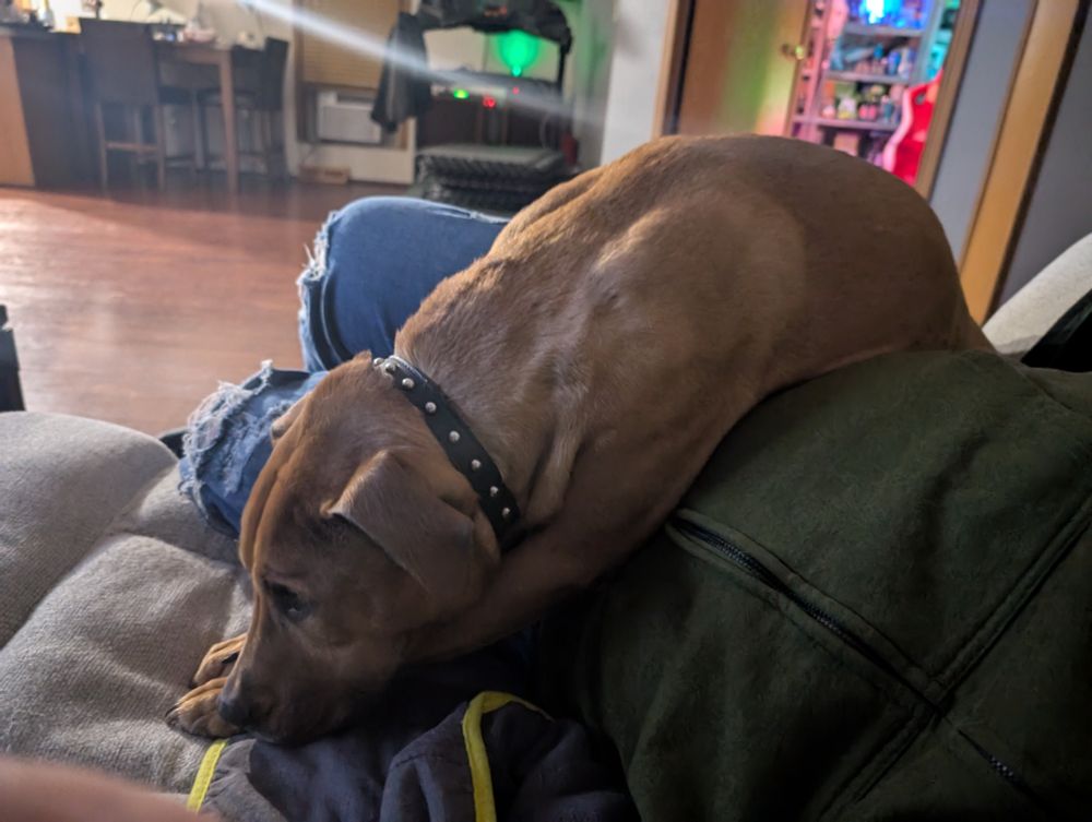 She spent the better part of the movie I watched, (The Abyss 1989) laying like this. 
