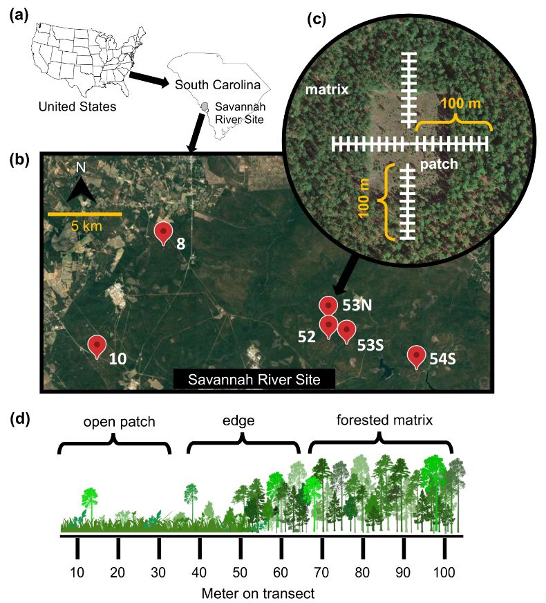 The figure shows study sites at the Savannah River Site in SC, USA, and the edge transects used in the study.