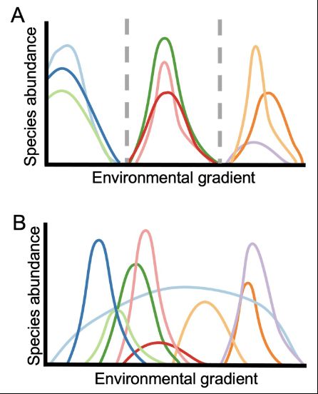 graphs with hypothetical species abundance curves along an environmental gradient often used to represent Clementsian and Gleasonian paradigms 