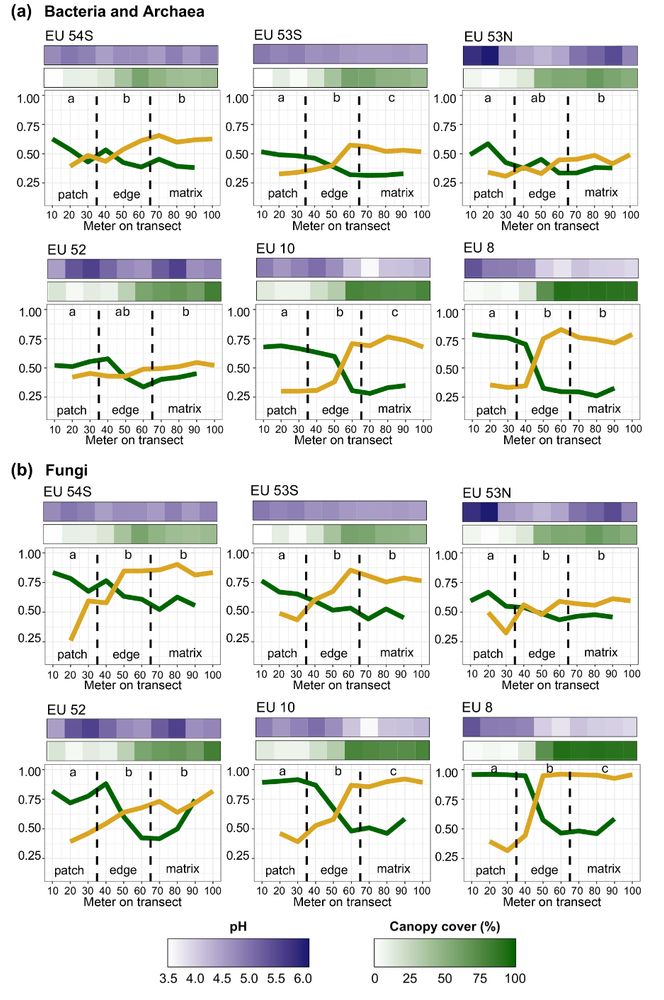 This is a multipanel figure showing bacteria/archaea and fungi turnover across edge transects in different blocks with pH and canopy cover.