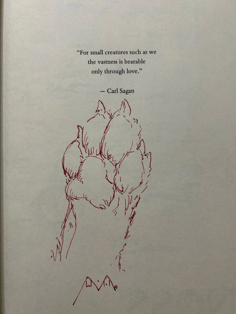 A furry footpaw drawn on a book page from the NOSS Saga series.