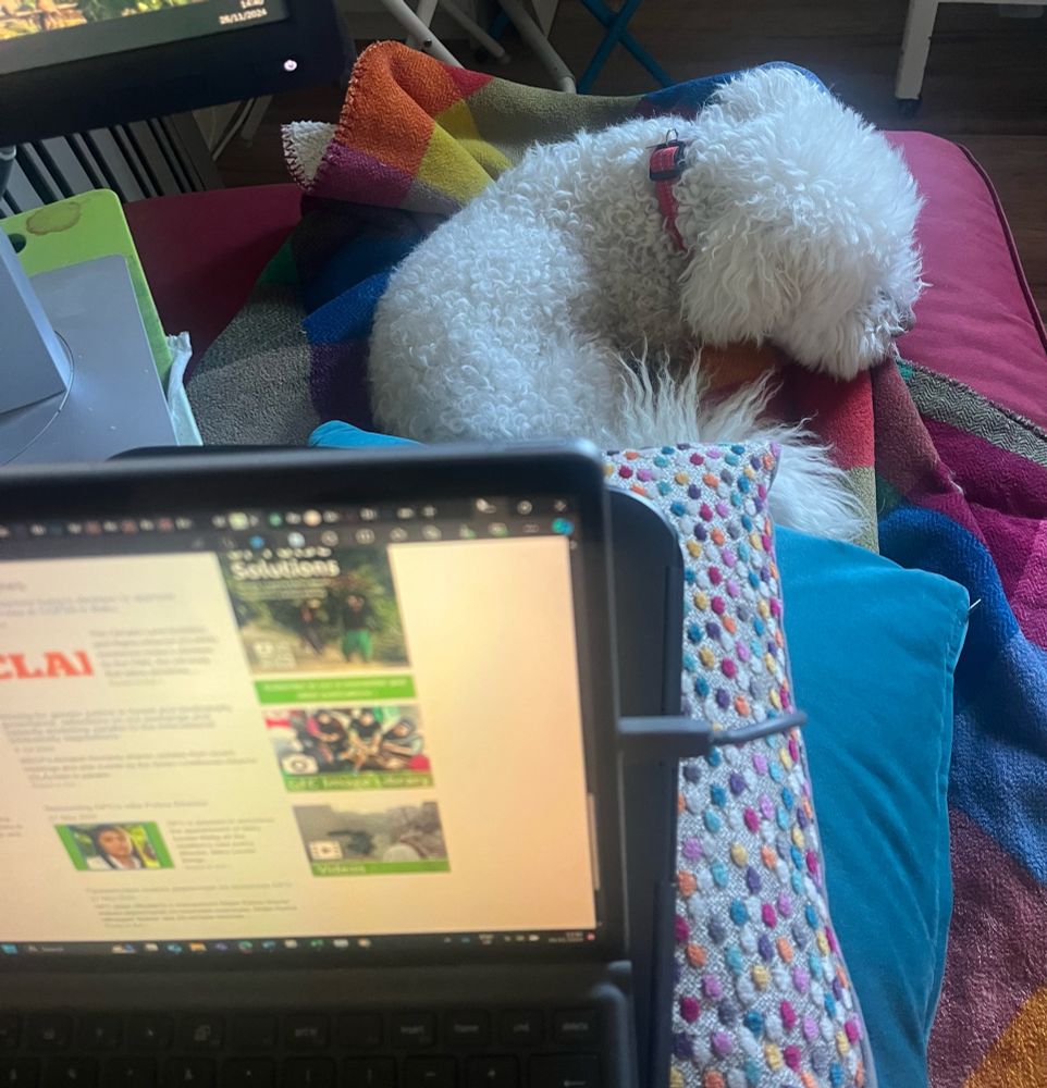 Pic of sleeping dog on top of coloured blanket & human feet, whilst showing laptop to illustrate work that is happening 