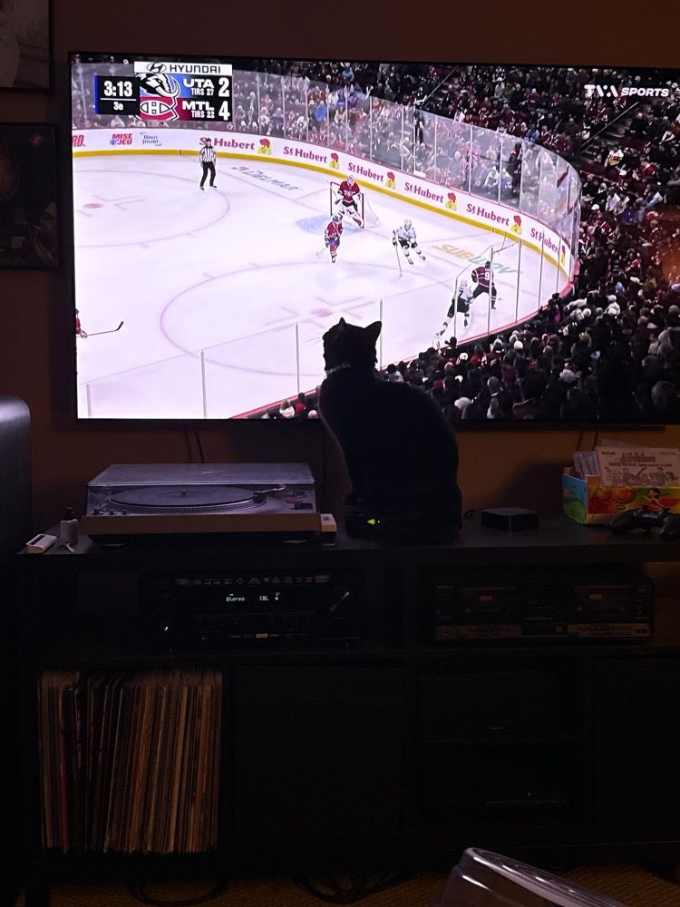 Black cat in front of tv which is showing a hockey game. 
