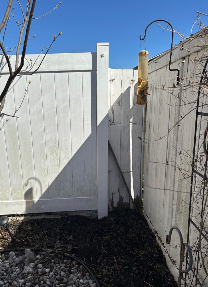 Same picture, but without the wild rose bush. 