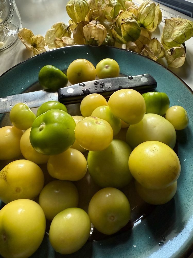 Green tomatillo fruit