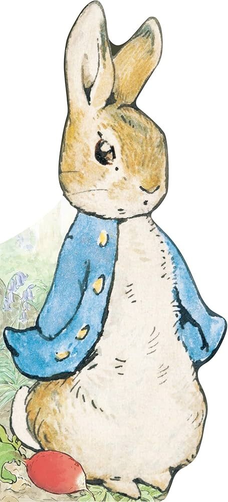 It's Peter Rabbit. He's a polite looking young rabbit in small, unbuttoned jacket, which has sleeves dangling on either side.