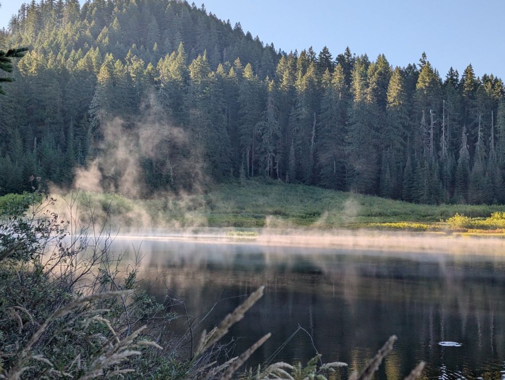 Most rises off an mountain lake in the morning. Sun is illuminating the most and trees in the background. 