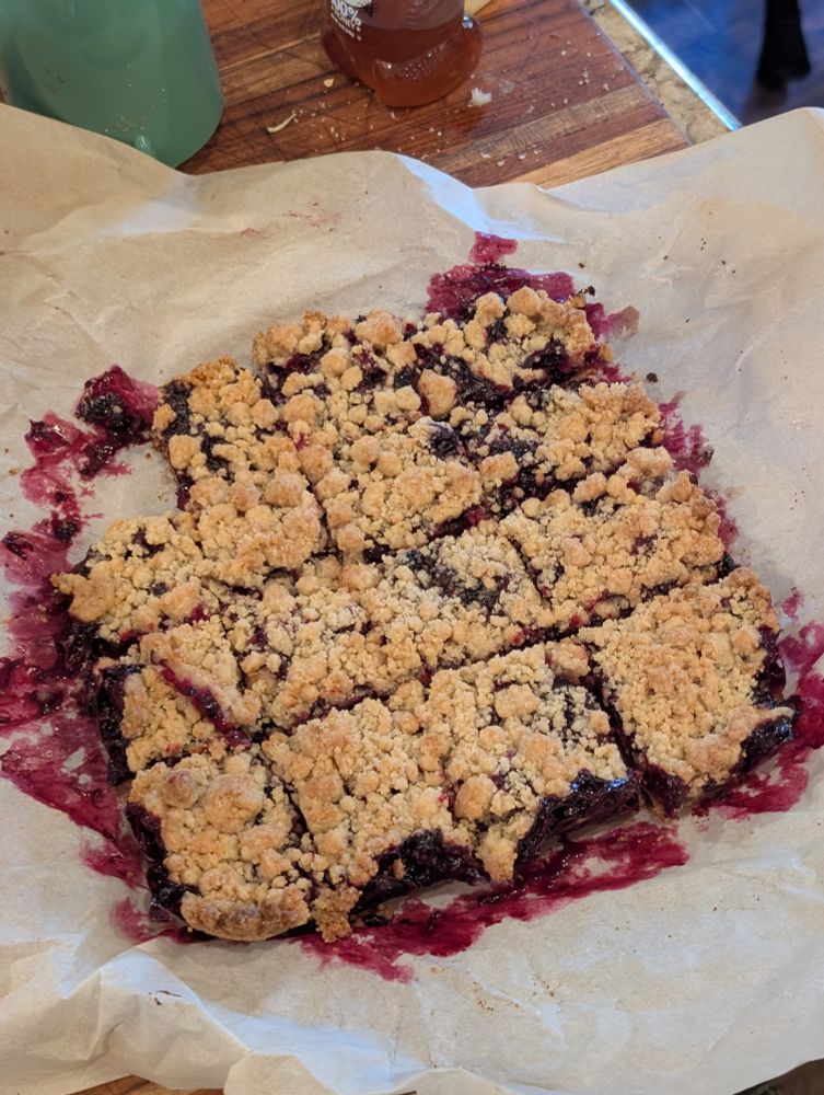 Huckleberry crumb bars

Had to pick some blueberries from the garden to have enough for the recipe. 