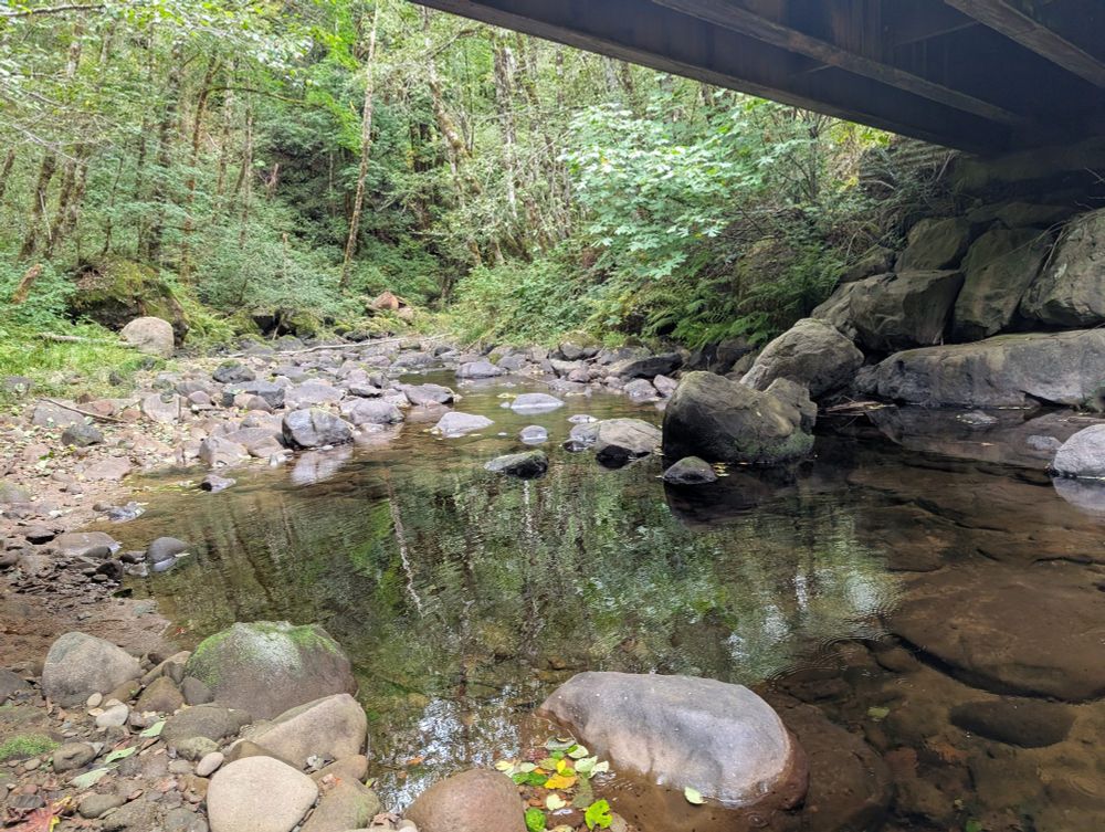 A deeper pool of a creek under a bridge 
