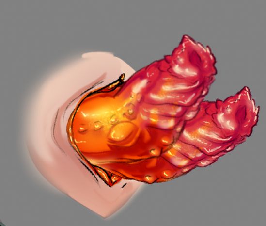 Illustration of monster hemipene (double cocks) protruding from a cloaca.