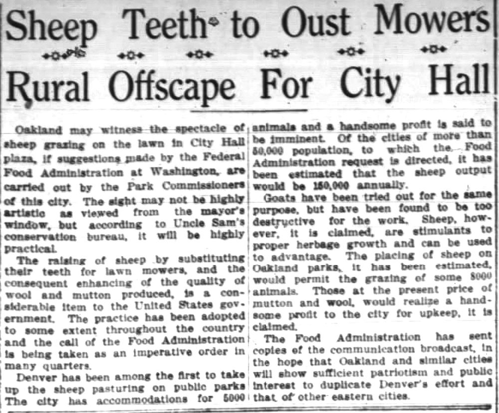 Oakland Tribune 1917: Federal FDA urges cities to graze sheep on public grasslands; Oakland's parkland "would permit the grazing of some 8000 animals. Those at the present price of mutton and wool, would realize a handsome profit to the city for upkeep, it is claimed."
