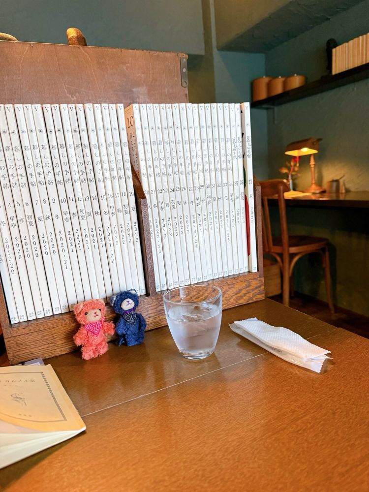 「ごほんをよむのにピッタリのしずかなくうかんです！わたしもよみます🐱✨」
「えほんもあるから、アイリスよんでよ！😽」