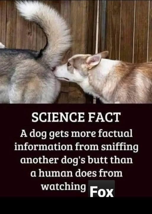Science Fact:  a dog gets more factual information from sniffing another dog's butt than a human does from watching Fox! 