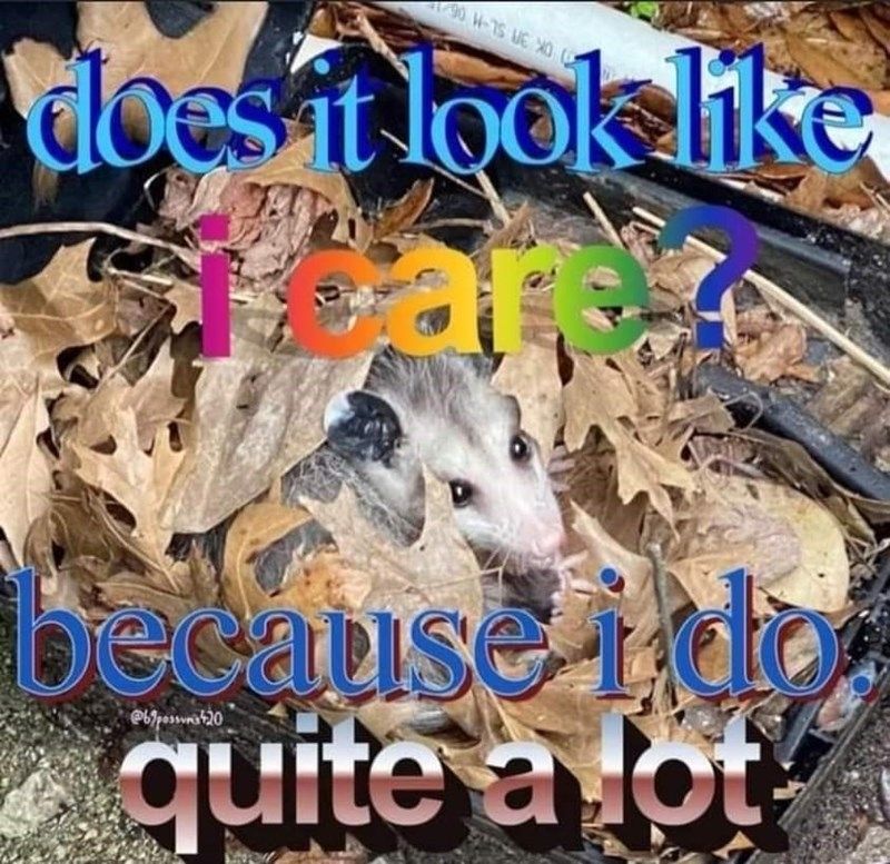 Comment image