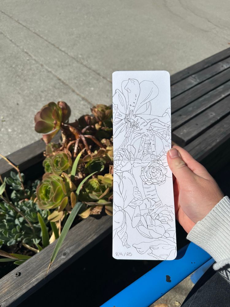 A long vertical sketchbook being held in front of some succulents in a planter box. The page has an ink drawing of said succulents. 