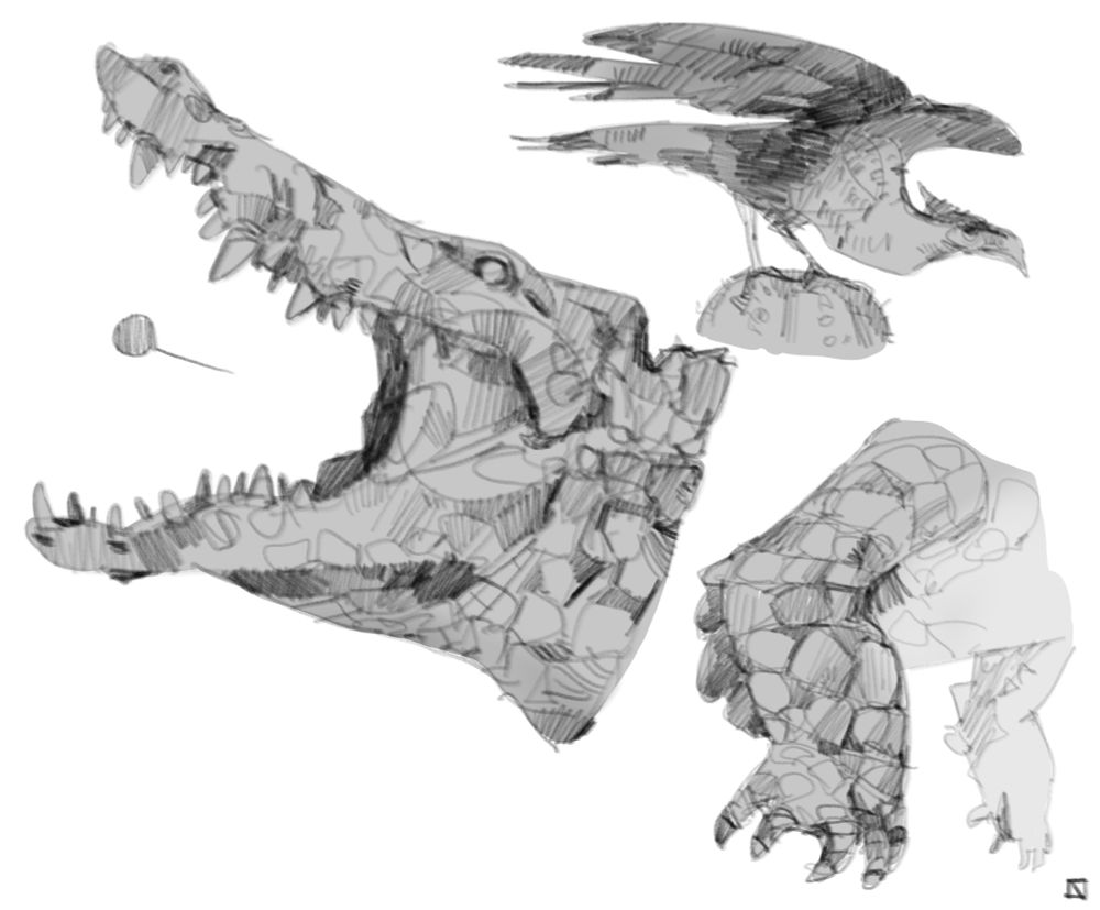 Croc & Bird