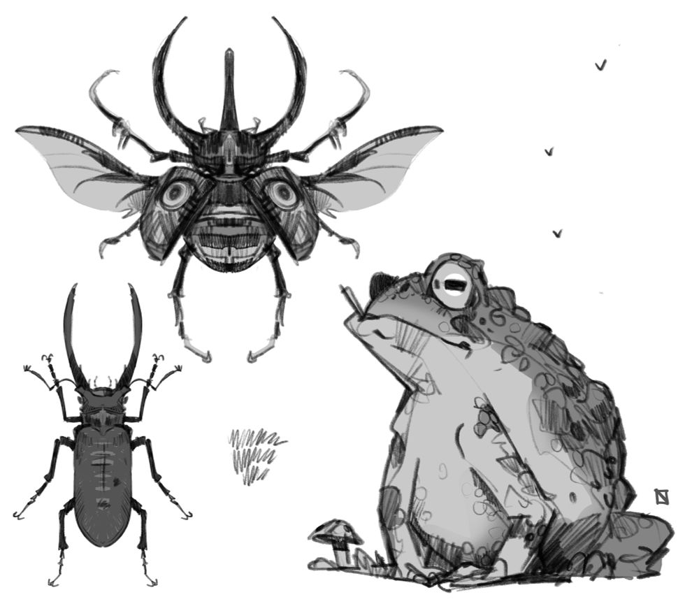 Toad & beetles