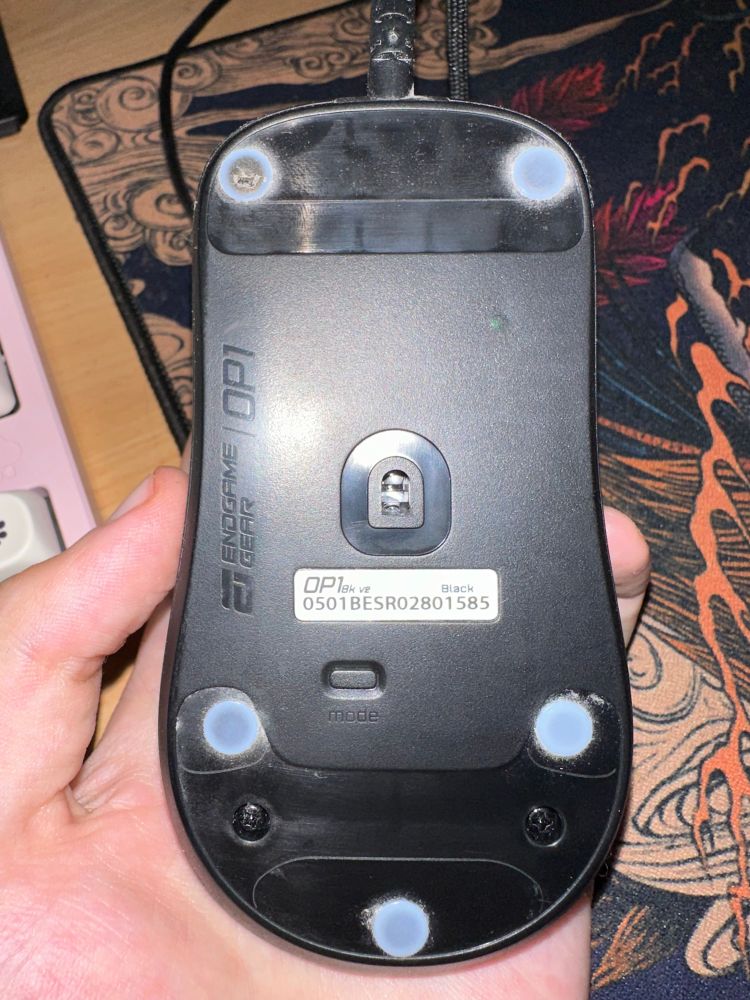 bottom of my mouse with a torn skate in the top left