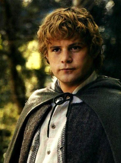 Samwise Gamgee from Lord of the Rings.