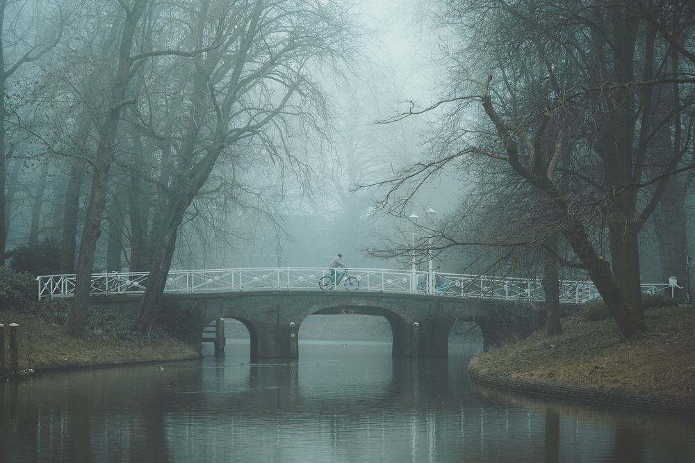 Maliesingel mist
