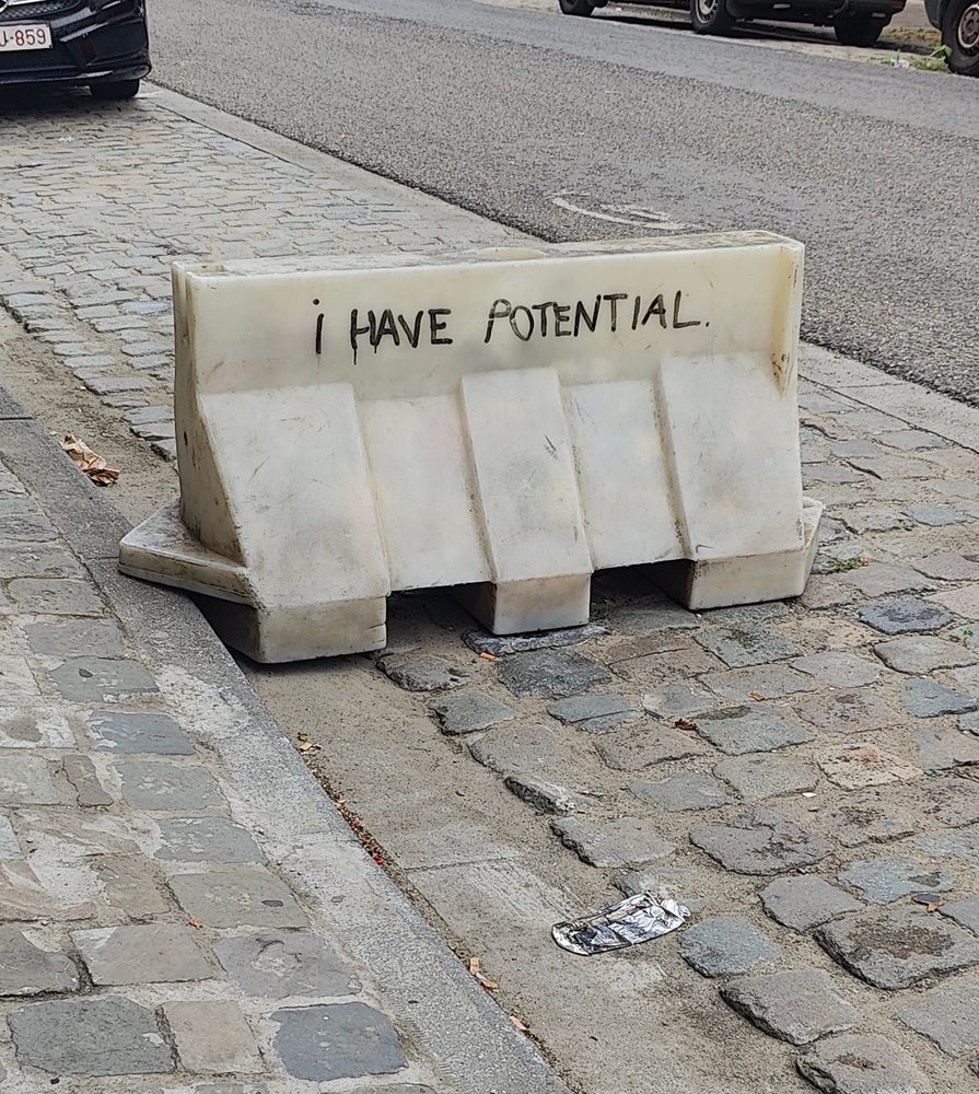 Plot/parpaing..l'extérieur est en plastique mais il est coulé de béton et impossible à déplacer à la main.  

Dessus est écrit "i have potential" 