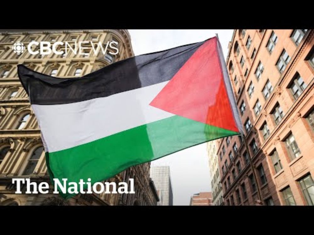 Report urges recognition of anti-Palestinian racism in Canada