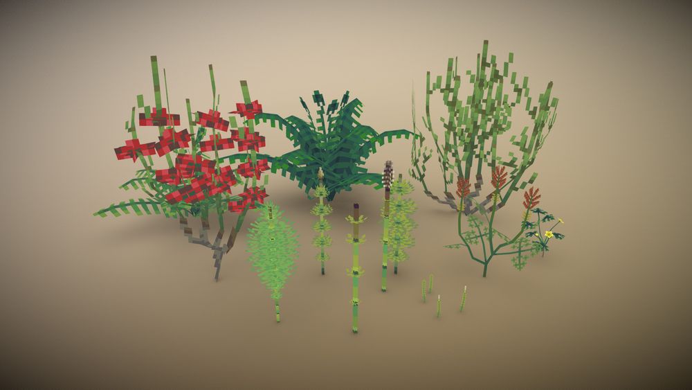 Some low poly pixel art style 3D models of various plants - ferns, horsetails, Ephedra, club moss, Archaefructus, and Leefructus