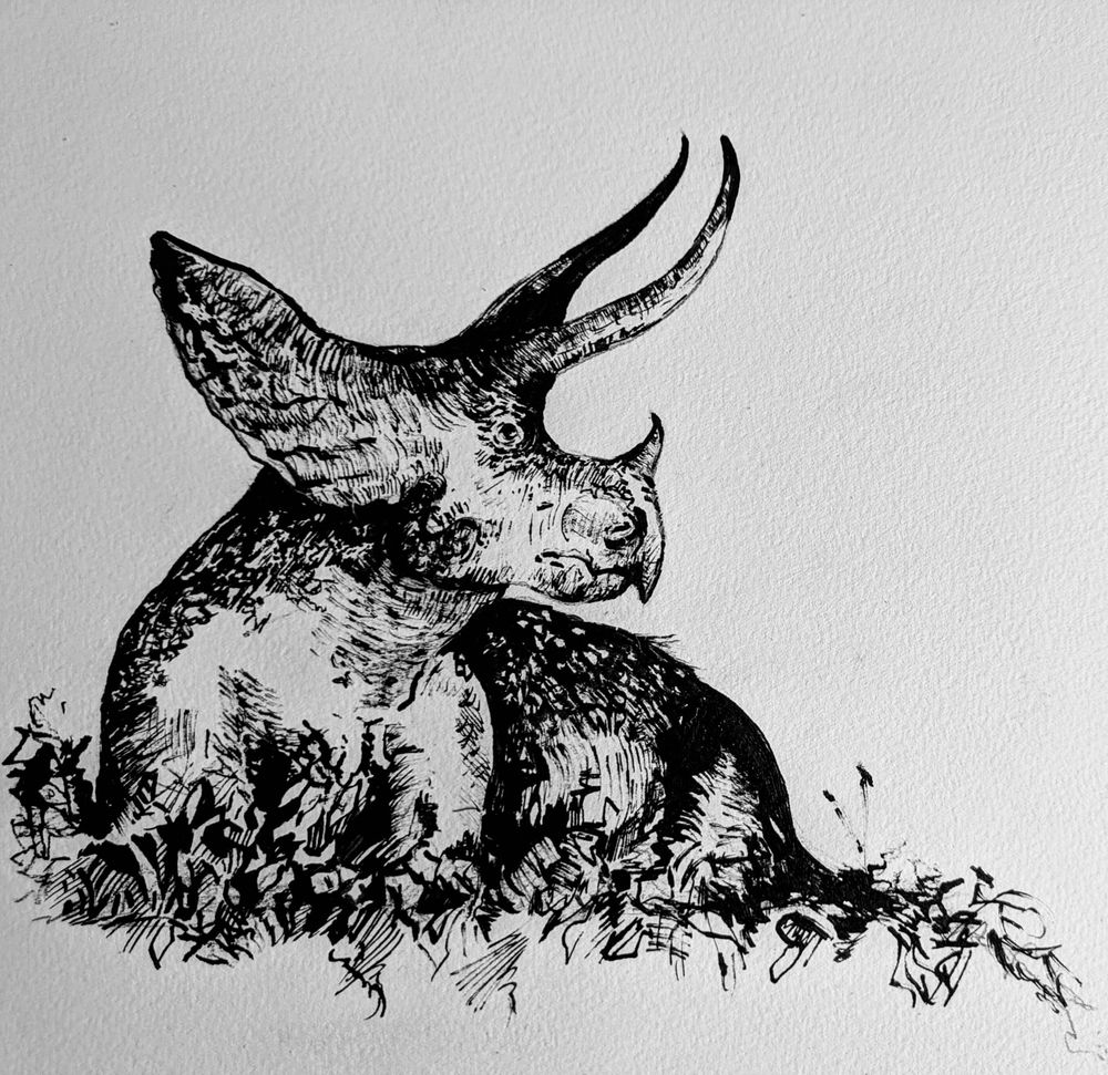 Black and white ink drawing of a triceratops resting in a thick brush. Chilling out and living its best life. 