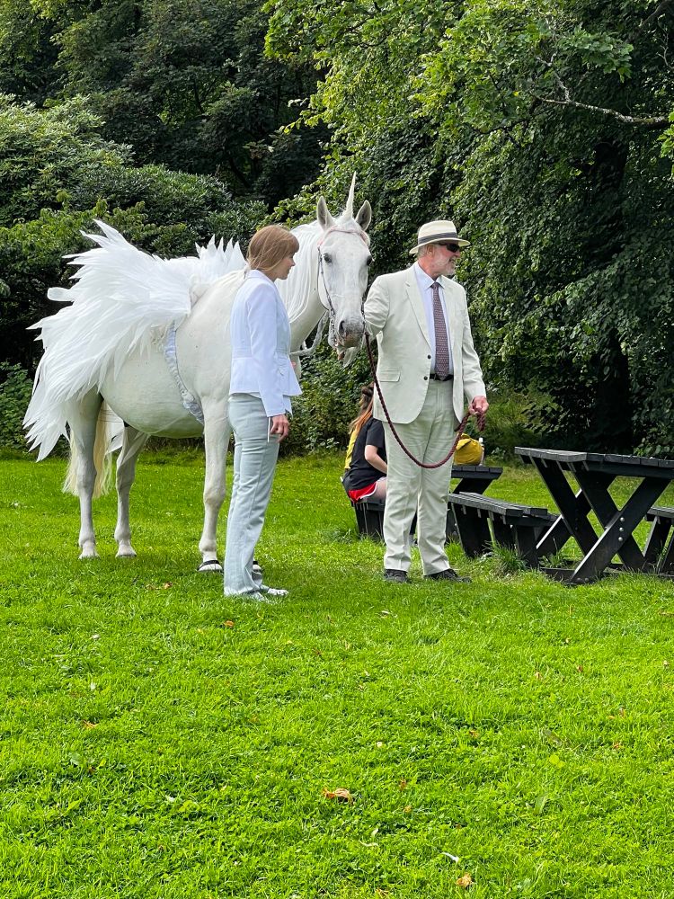 A unicorn.  Or Pegasus.  Or a disappointed looking white horse dressed up for the Govanhill carnival.