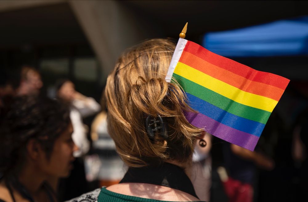 Back of persons head with hair in a bun with a small pride flag sticking out of it.