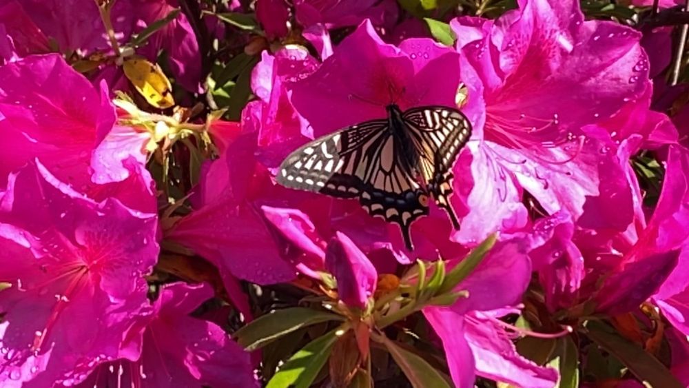 いっぱいお食べ…