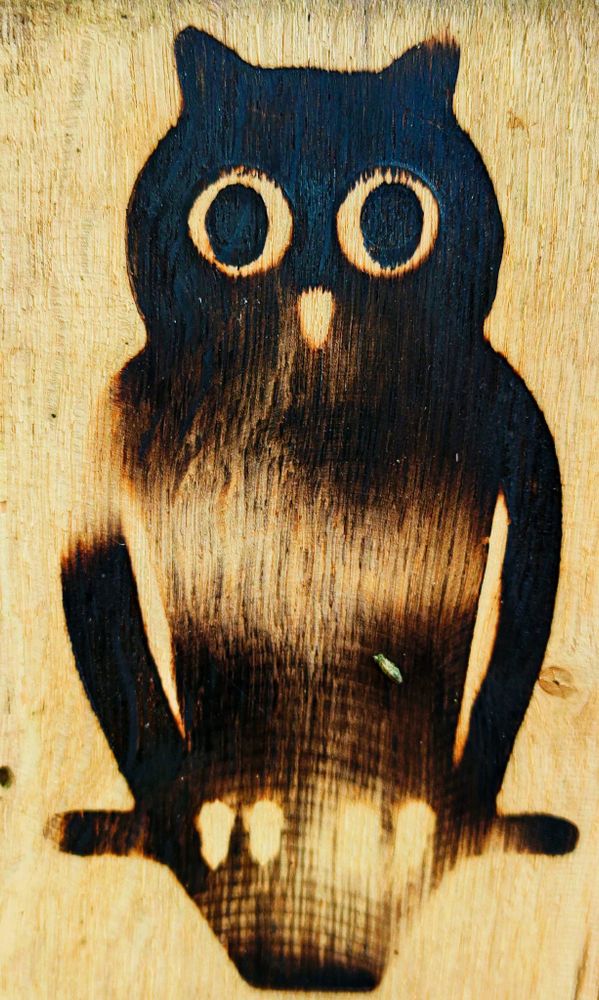 Ein Schild aus Holz mit aufgebrannter Eule.