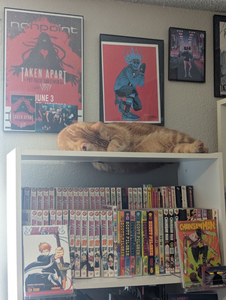 My cat orange cat Obi on my bookshelf, sleeping. His paw is over his face and his tummy is hanging over the bookcase a little bit.