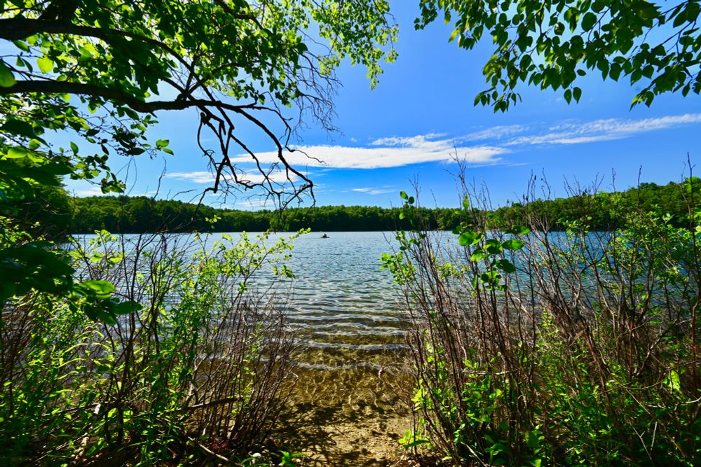 Walden Pond

This photo captures a peaceful lakeside view framed by lush green foliage and overhanging tree branches. The clear, shallow water gently ripples towards the shore, revealing a sandy bottom. In the distance, a small boat floats quietly on the calm lake, surrounded by a dense treeline under a bright blue sky with streaks of wispy clouds. The vibrant colors and natural beauty create a sense of tranquility and quietude.