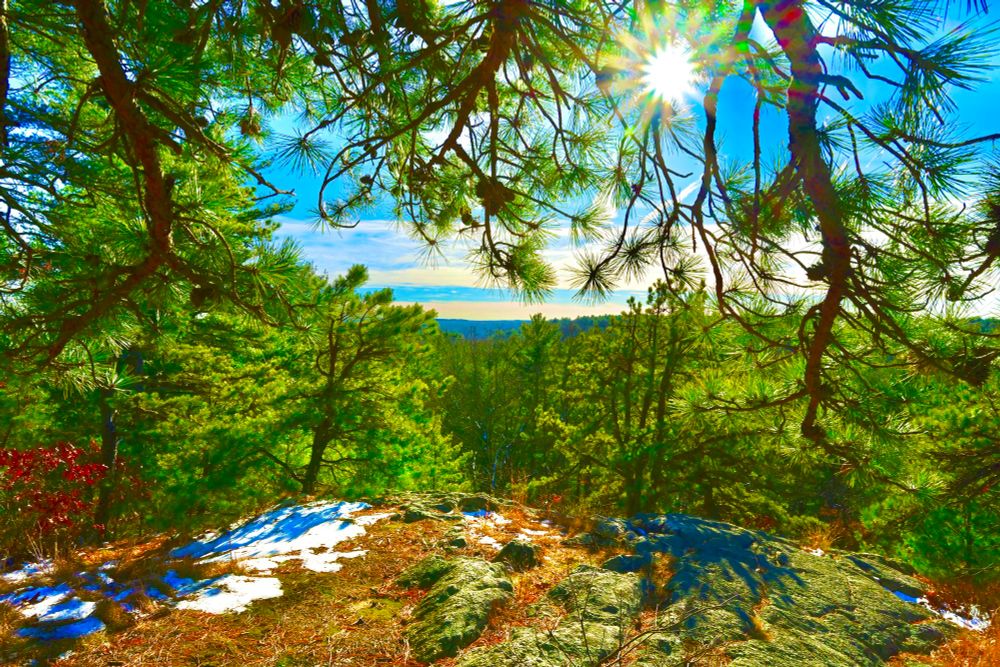 Fairhaven Cliffs

The photo captures a sunlit forest scene from a rocky overlook, with rays of sunlight streaming through tall pine branches. Patches of snow rest on the ground and rocks, contrasting with the vibrant green of the trees. In the distance, the treetops stretch toward the horizon under a bright blue sky with wisps of clouds.