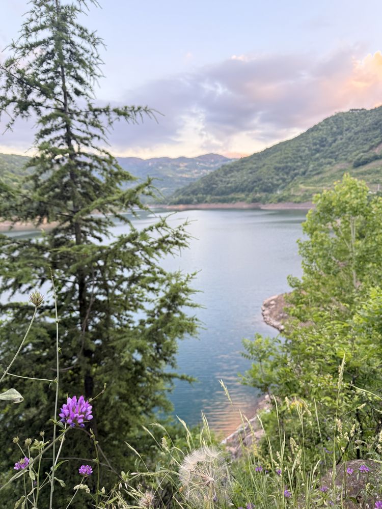 Serene dam water and a flower at Kirazdere Barajı by Hakan Yaşarcan
#nature #water #dam #türkiye #kocaeli #yuvacik #kirazdere #serene #waterscape #sky #trees #clouds
Yuvacık Yakacık, Kirazdere Barajı, 41090 Başiskele/Kocaeli, Türkiye