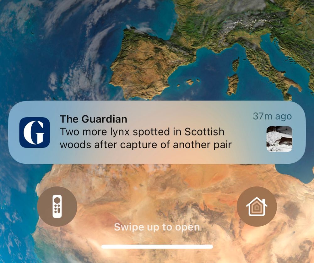 Screenshot of a push alert from The Guardian, reading:
Two more lynx spotted in Scottish woods after capture of another pair