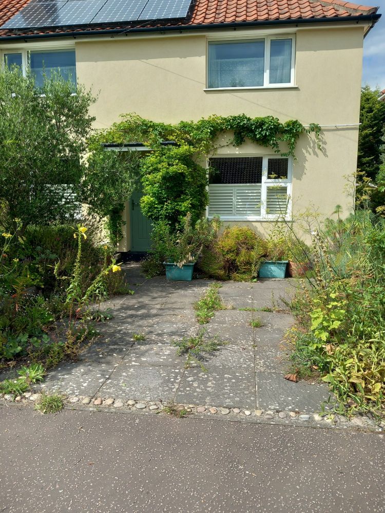 A house with yellow rendered walls, pan tiled roof and solar panels. There is a concrete slab driveway bordered by flower beds withs flowers spilling out across and growing in the gaps between the slabs. The green door is framed by a green climbing plant.