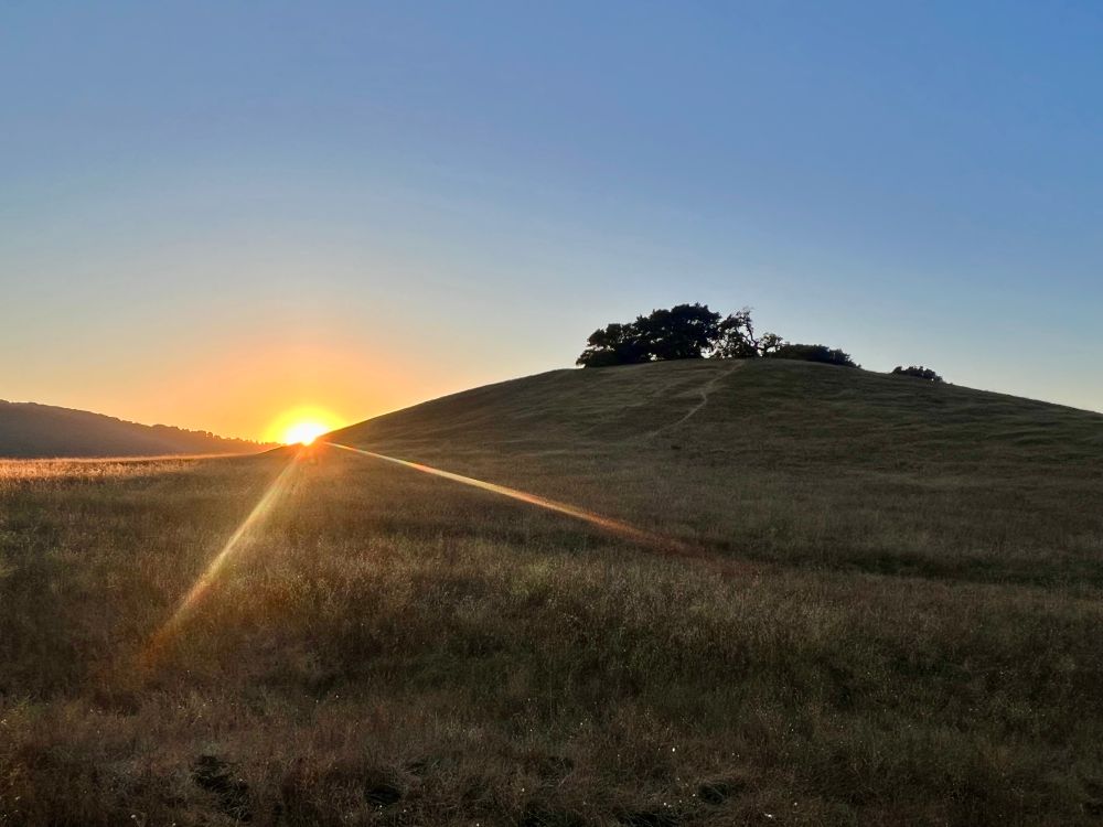 a grassy field with some california live oaks in the distance. its sunset and the sun is setting just over the horizon line. there’s not a cloud in the sky and it’s amazing!
