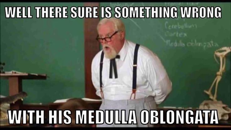 colonel sanders from the water boy “well there sure is something wrong with his medulla oblongata”