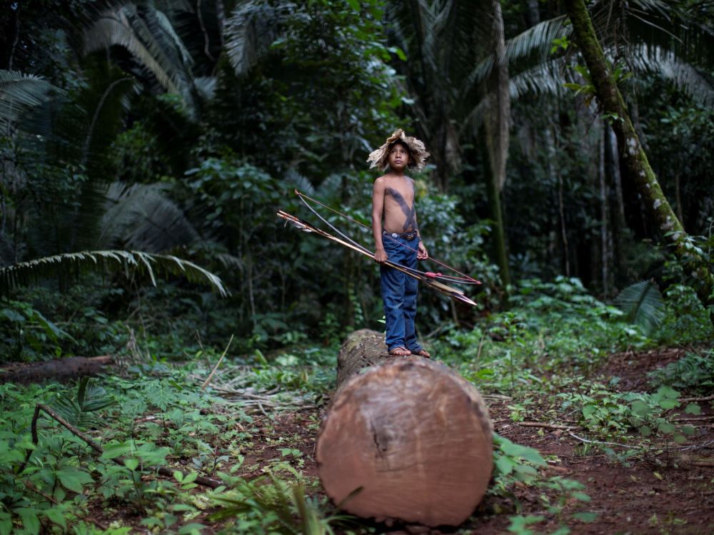 How the EU can help save Indigenous lives and the Amazon