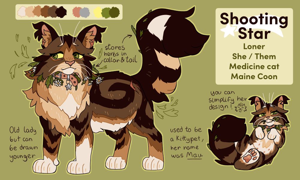 A reference for a Warrior Cats original character I created of a female maine coon cat with a brown tabby pattern