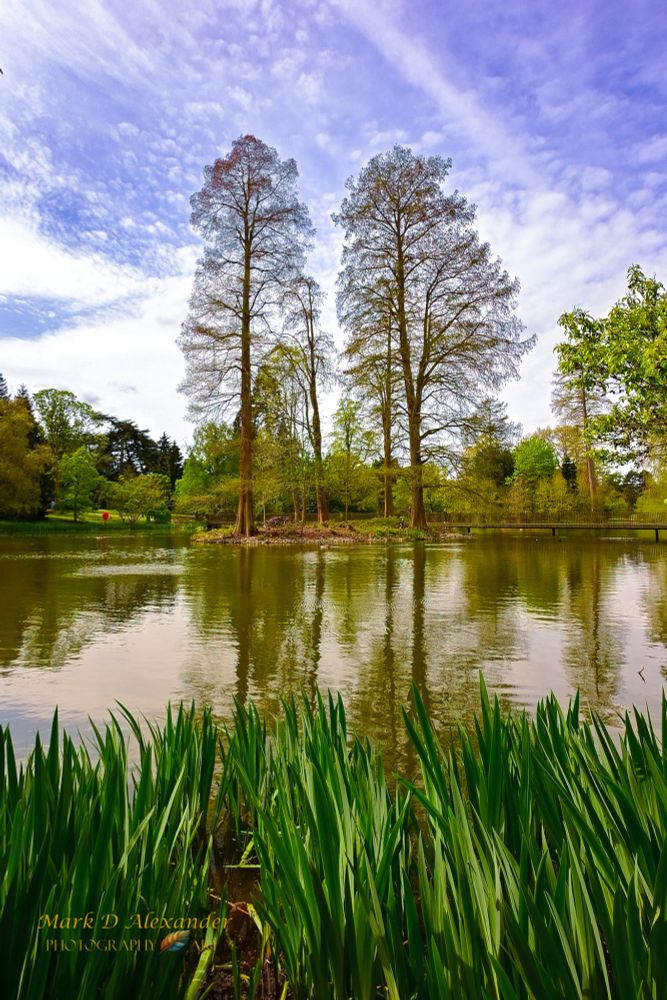 View across a lake to a small island, the island has tall trees on it, the trees are reflecting on the water. Surrounding the lake are more trees and shrubs, which are also reflecting on the water. The sky is blue with hazy clouds.